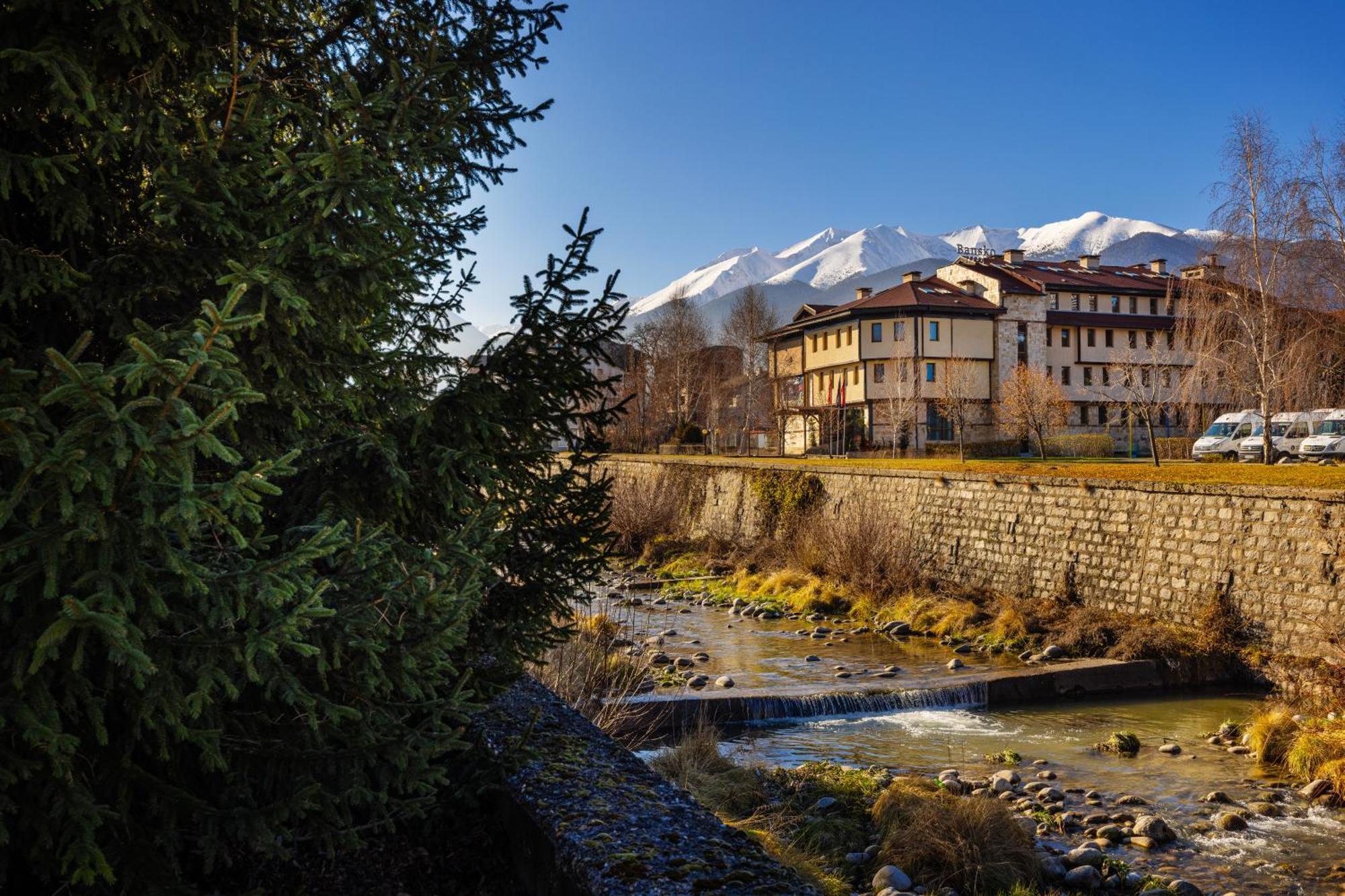 Coliving Bansko, The Social Hotel By Networking Premium Dış mekan fotoğraf
